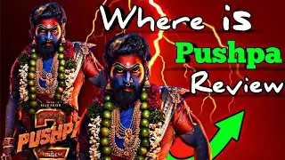 Pushpa 2 Teaser Glimpse Review 💥 || Abir Nandi