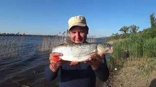 Голавлемания 2020