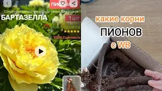 ПИОН с WB 🤔рискнула и заказала