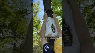 Cum să supraviețuiești în natură: depozitarea alimentelor #camping #nature #food #ecofriendly