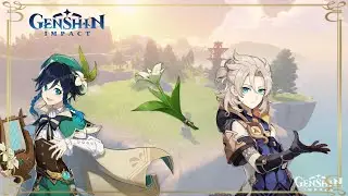 [Genshin Impact] Trovare 50 Cecilia 