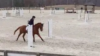 Novice jump round at Chatt 2/9/19