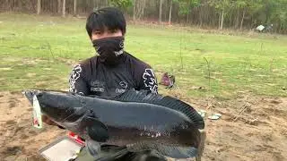 จูงขึ้นฝั่งไปด้วยกัน 