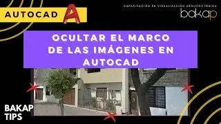Ocultar el marco de una imagen insertada en AUTOCAD