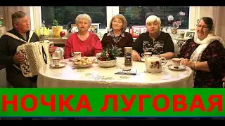 НОЧКА ЛУГОВАЯ (СЕНОКОСНАЯ ПОРА) текст в описании