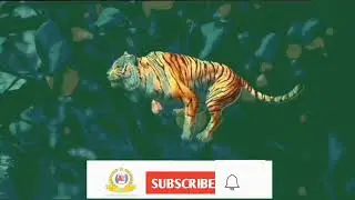 How To Make cartoon |  Cartoon  Kaise banaye | cartoon Animation