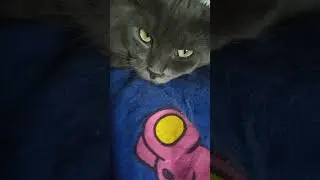 Пусть сопутствует УДАЧА .