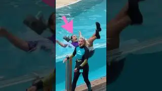 The Sea Lion SAVED this Woman! 
