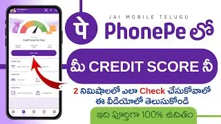 How to check credit score Phone Pe app Telugu 2024