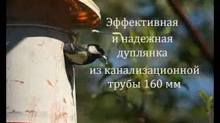 Очень простая дуплянка для птиц из пластиковой канализационной трубы