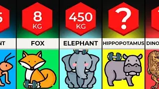 COMPARISON: How Much Can Animals Bench?