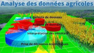 Les Compétences Statistiques Essentielles d'un Agroéconomiste