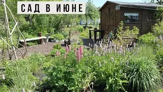 Прекрасный  сад в июне / Природный стиль