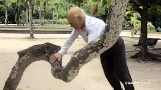 VOVÔ PARKOUR - OLD MAN PRANK AND MOVIE