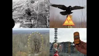 В Чернобыле откроют могильник, куда со всего мира будут свозить радиоактивные отходы
