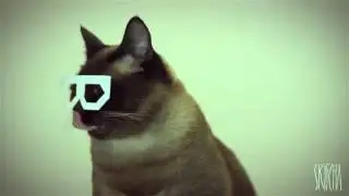 кот танцор))просто аху..ено..