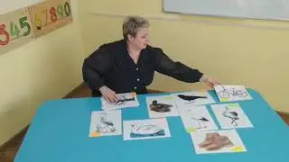 Перелітні птахи. Групи слів за ознаками. Курс «Вчимося граючи».