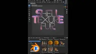 Shell Texture Fur 