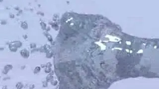 Realflow/3DS Max Test 6 