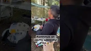 Kampımıza ayı gelmiş haberimiz olmamış neyseki mustafa var yanımızda☺️🤚🏻