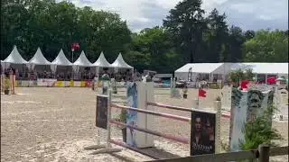 La vie en Rose , mare 2016 by Dakar vdl x Asca z