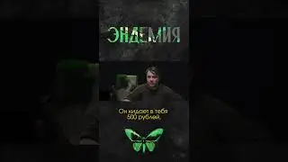 Магазинные воры I Игровое шоу 