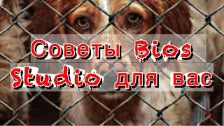 кот, который был голоден на улице #новый #животные