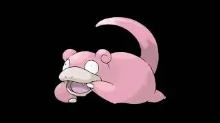 Today's Pokemon Direct in a Nutshell