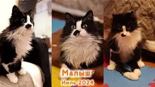 Малыш