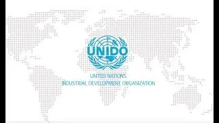 The United Nations Industrial Development Organization (RU)