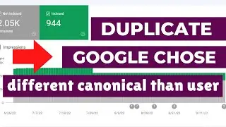 How To Fix Duplicate, Google chose different canonical than user in Google console