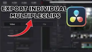 How To Export Individual Clips from Davinci Resolve 18