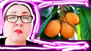 МУШМУЛА- что это?   ПРОБУЮ В ПЕРВЫЙ РАЗ. 🍑