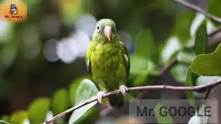 اغاني فيروز الصباحية. fairouz songs