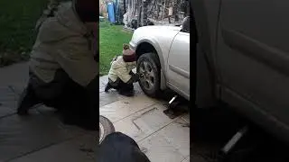 1 ноября 2018 г.
