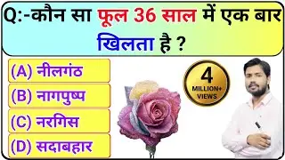 🔰25 GK Interesting Questions With Answers l UPSC l Interview Questions | future Tak gk
