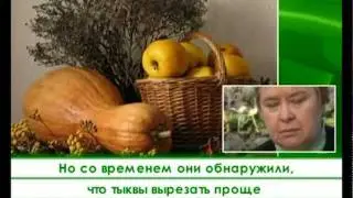 Сад и огород. Все о тыкве.