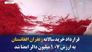 قرارداد خرید سالانه زعفران افغانستان به ارزش ۱.۰۷ میلیون دالر امضا شد