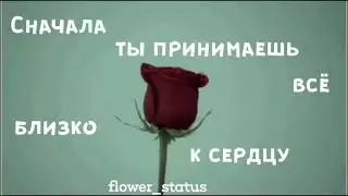 Разрывает 💣💔😑    Видео для статуса
