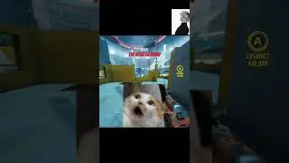 Нам капец | The finals