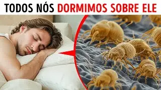 100 fatos aleatórios para ver o mundo de uma nova maneira