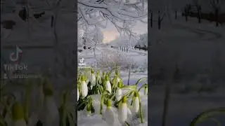 А ведь совсем скоро весна! Люблю 
