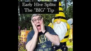 Early Hive Splits: The BIG Tip
