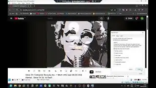 Video killed The Radio Star (SHOW TV Version) has BSOD VM (Windows XP)