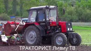 МТЗ 82.1 | 80 | Т25 | ЮМЗ 6 ПОСАДКА ПОМИДОРОВ 2020 дени-3