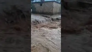 Sniježnica 11.06.2023.