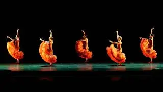 MOMIX "Marigolds"