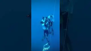 How to Hold Your Breath Underwater Longer Like a Freediver
