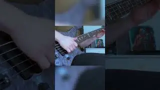 Werner Erkelens: Unbelievable Passive Dingwall ABI Tone