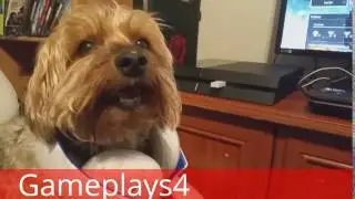 Intro - Gameplays4
